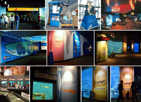 国立海洋生物博物馆的展览馆